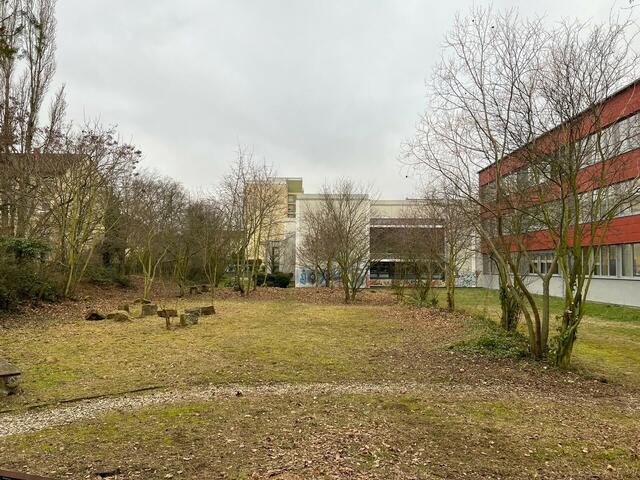 Der alte Schulgarten am Werner-Heisenberg-Gymnasium vor seiner "Verwandlung" | Foto: Werner-Heisenberg-Gymnasium/gratis