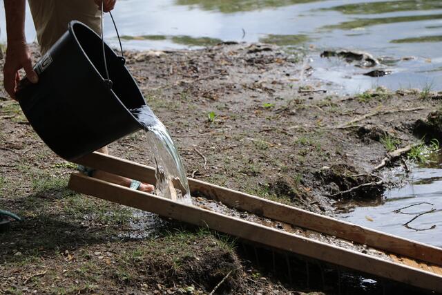 Goldwaschkurs bei Leimersheim | Foto: Heike Schwitalla