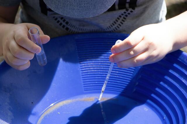 Mit der Pipette werden die winzigen Goldflitter ins Reagenzglas gefüllt | Foto: Heike Schwitalla