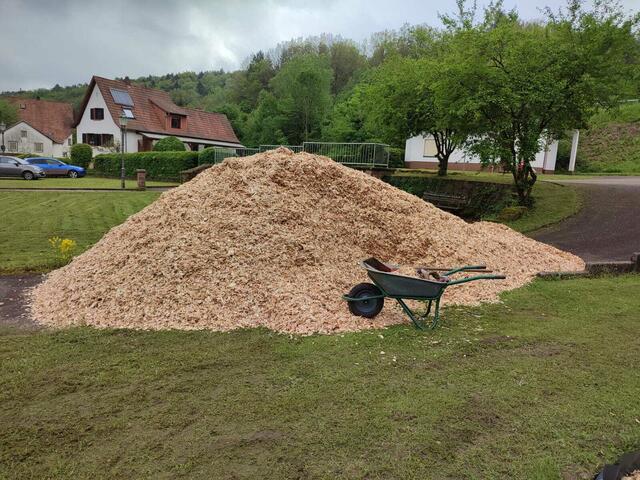 Los geht's | Foto: Scheibel