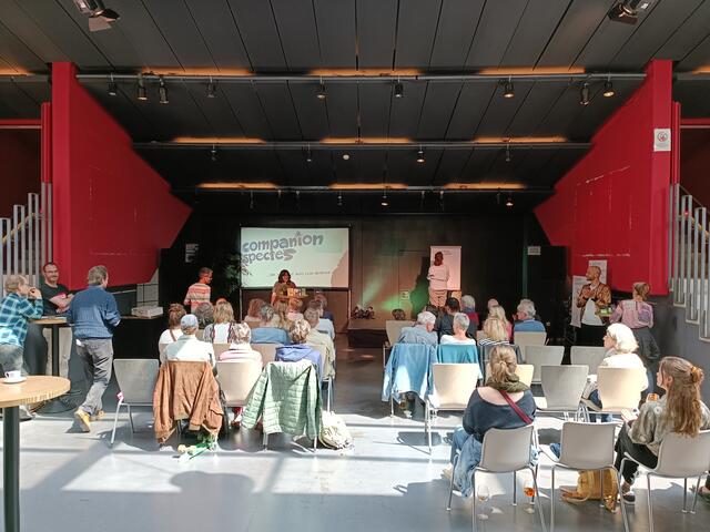 ausgeschlachtet – Tag der offenen Türen im "Alten Schlachthof" Karlsruhe | Foto: Heike Schwitalla