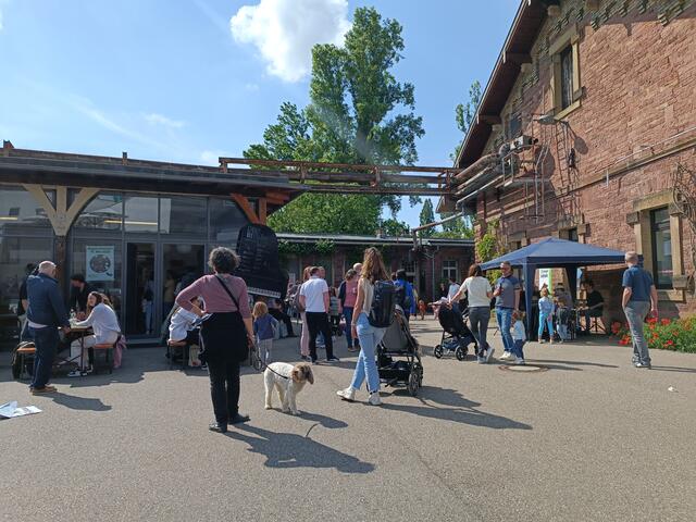 ausgeschlachtet – Tag der offenen Türen im "Alten Schlachthof" Karlsruhe | Foto: Heike Schwitalla