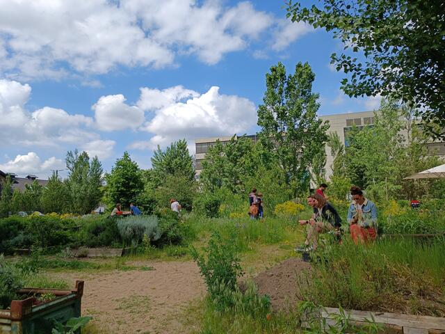ausgeschlachtet – Tag der offenen Türen im "Alten Schlachthof" Karlsruhe | Foto: Heike Schwitalla