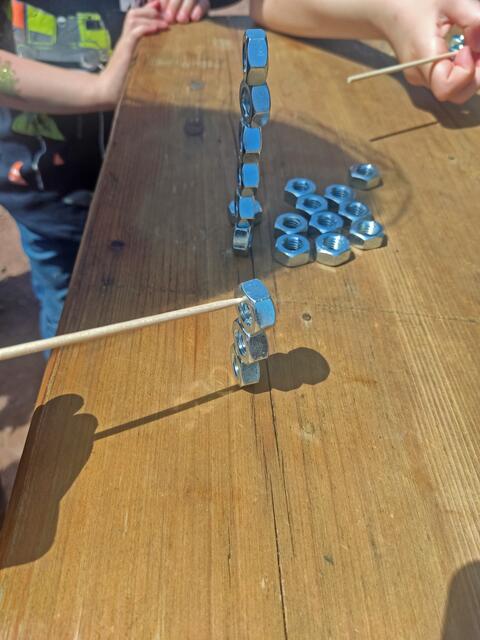 Geduld, bitte! Einmal Muttern mit einem Stab stapeln... | Foto: C. Daußmann