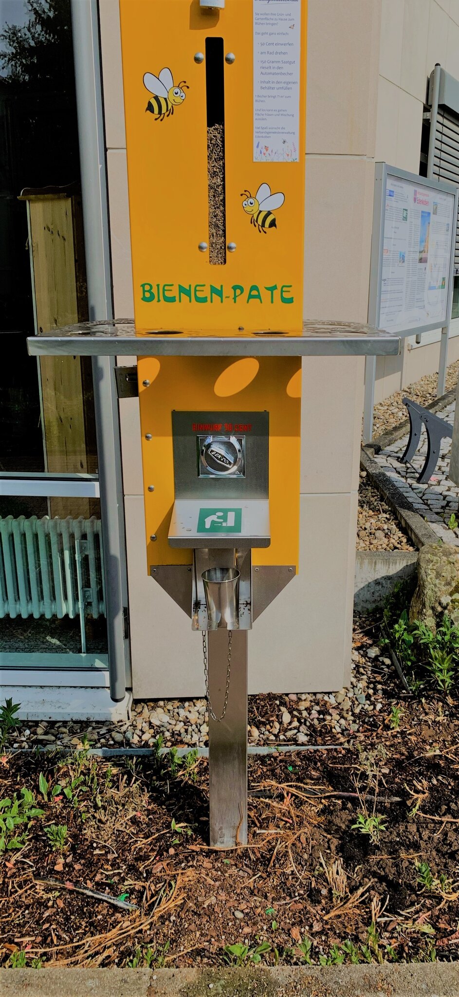 Biene des Jahres - Frühlings-Seidenbiene: Weltbienentag auch in ...