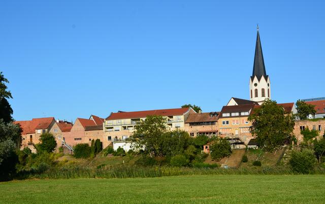 Stadtmauer Jockgrim -  September 2019 | Foto: Andrea Abt