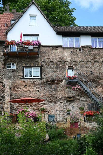 Stadtmauer Jockgrim Juli 2020 | Foto: Andrea Abt