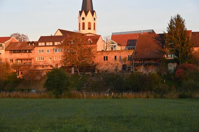 Stadtmauer Jockgrim Oktober 2021 | Foto: Andrea Abt