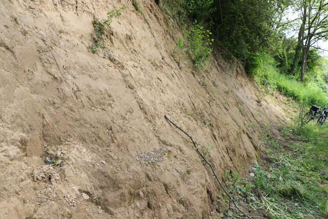 Die neu gestaltete Landauer Hohl bei Freckenfeld | Foto: Heike Schwitalla