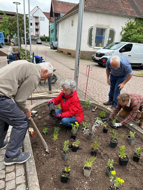 Gemeinsam wurden zahlreiche Pflanzen gesetzt und in mühevoller Arbeit eingebracht