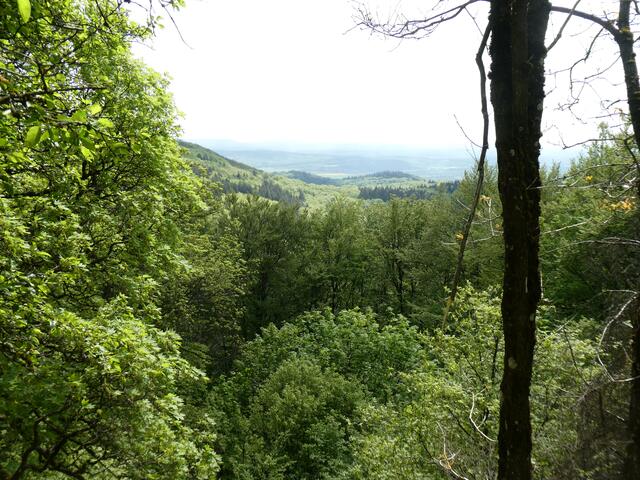 Aussicht vom Rehbockfelsen