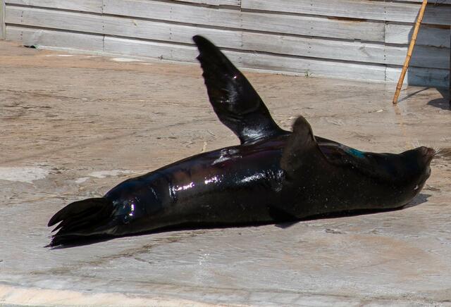 Foto: Tina Kirsch Photografie