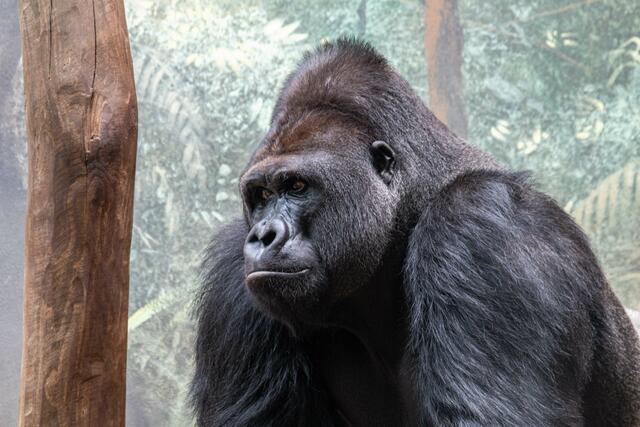 Foto: Tina Kirsch Photografie