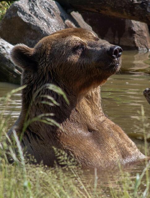 Foto: Tina Kirsch Photografie