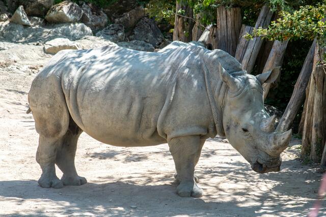 Foto: Tina Kirsch Photografie