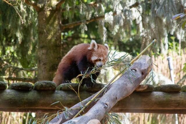 Foto: Tina Kirsch Photografie