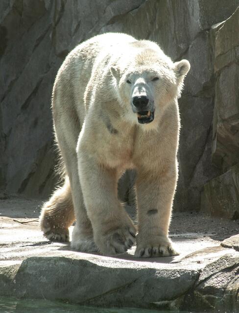 Foto: Tina Kirsch Photografie