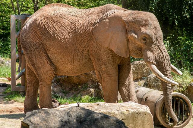 Foto: Tina Kirsch Photografie