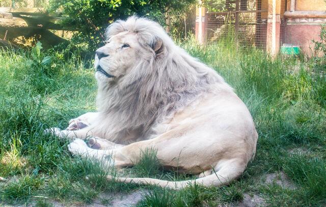 Foto: Tina Kirsch Photografie