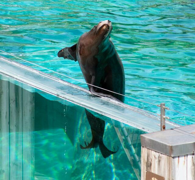 Foto: Tina Kirsch Photografie