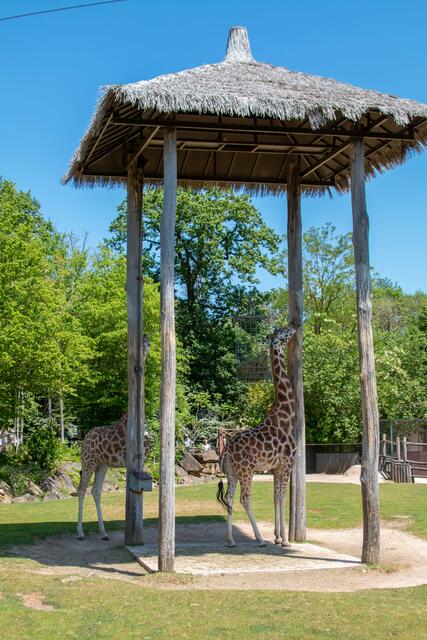 Foto: Tina Kirsch Photografie