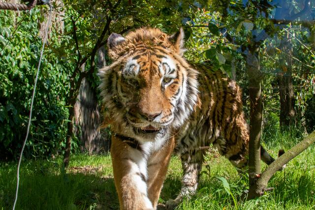 Foto: Tina Kirsch Photografie