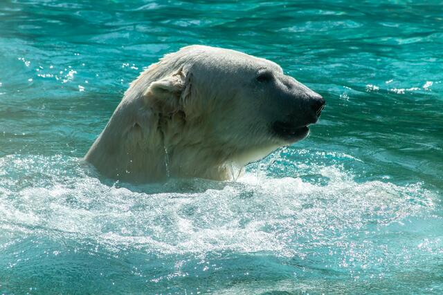 Foto: Tina Kirsch Photografie