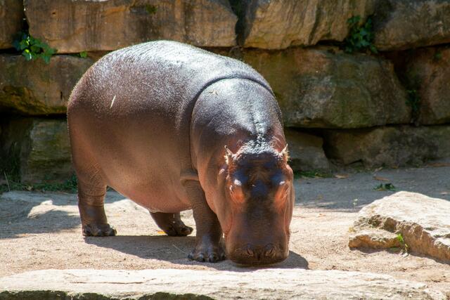 Foto: Tina Kirsch Photografie