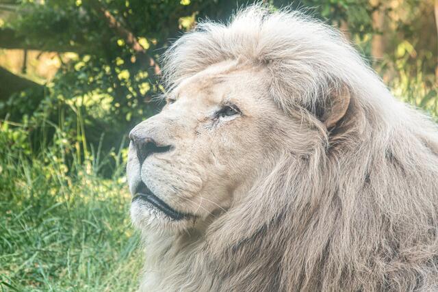 Foto: Tina Kirsch Photografie