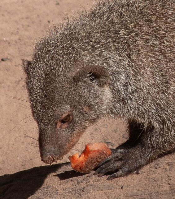 Foto: Tina Kirsch Photografie