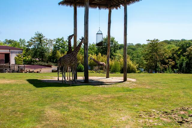 Foto: Tina Kirsch Photografie