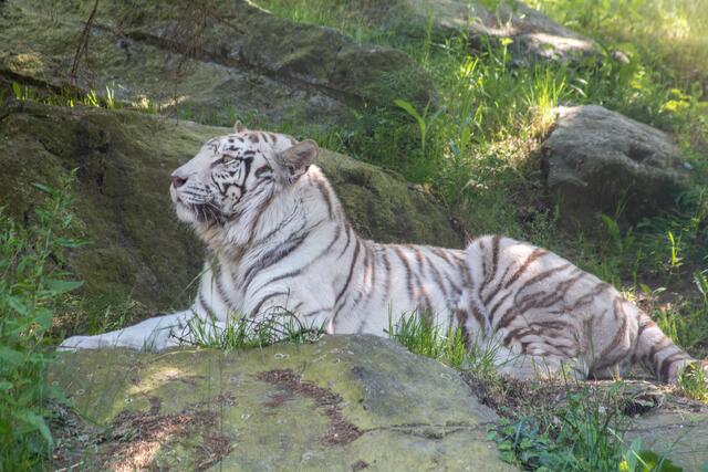 Foto: Tina Kirsch Photografie