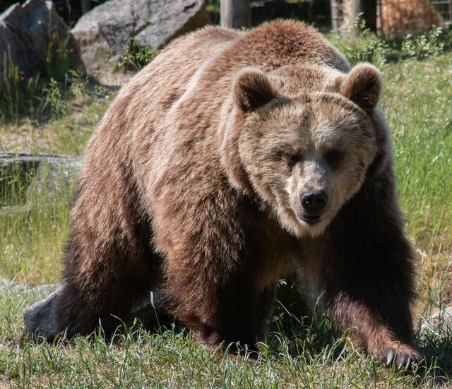 Foto: Tina Kirsch Photografie