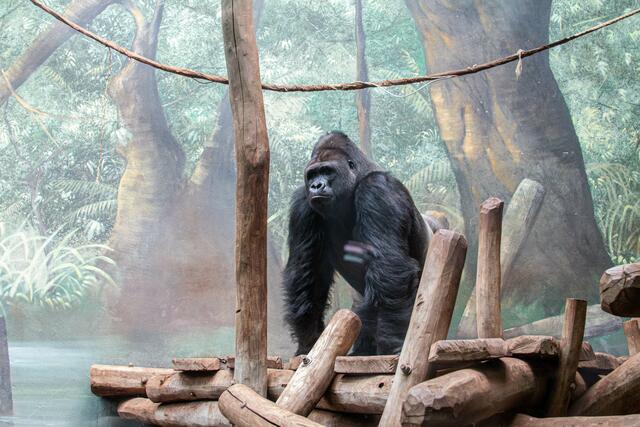 Foto: Tina Kirsch Photografie