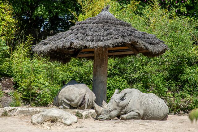 Foto: Tina Kirsch Photografie