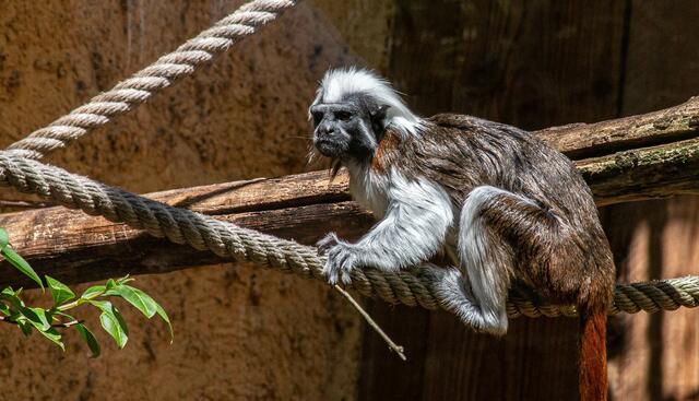 Foto: Tina Kirsch Photografie