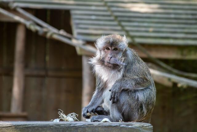 Foto: Tina Kirsch Photografie