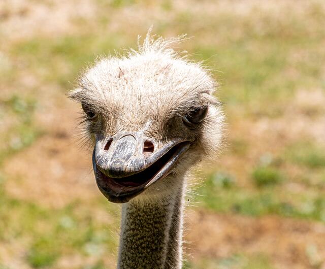 Foto: Tina Kirsch Photografie