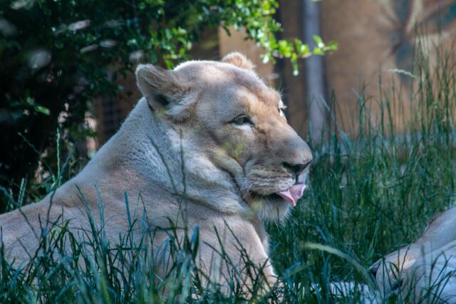 Foto: Tina Kirsch Photografie