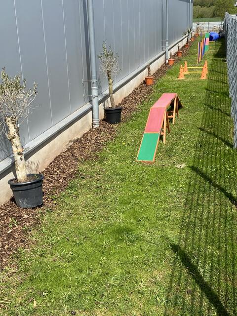 Jetzt neu: Ein eigener Hunde-Trainingsplatz. 
Beim Landfuxx in Weilerbach dürfen sogar Hunde-Trainingsstationen ausprobiert werden.  | Foto: Claudia Bardon