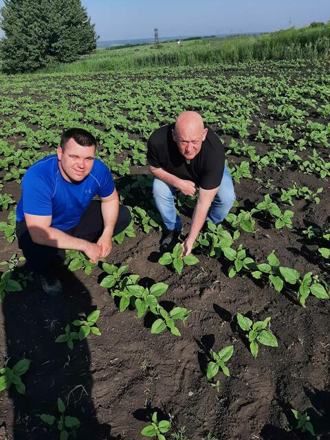 H | Foto: i.A. Igor Girka