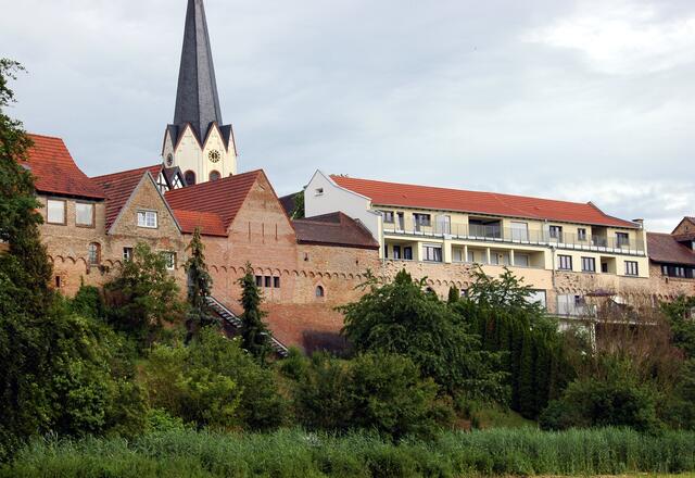Stadtmauer Jockgrim - Juni 2015 | Foto: Andrea Abt