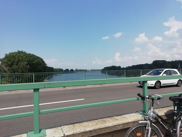 Rheinblick vom Fahrradweg entlang der A6, zwischen rasant befahrenen Autobahnspuren.  | Foto: Julia Glöckner
