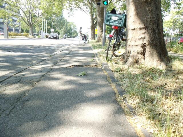 Asphaltkaries in der Mundenheimer Straße | Foto: Julia Glöckner