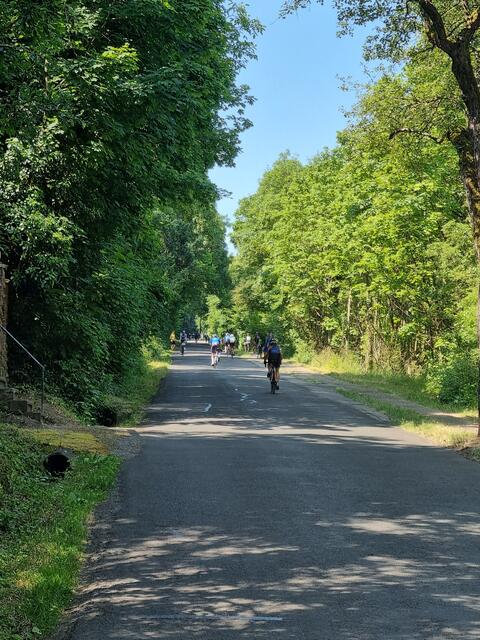 Foto: www.jowapress.de