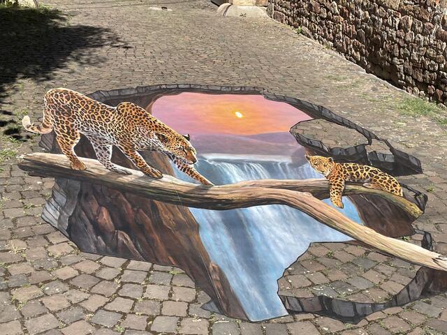 Bitte nicht streicheln | Foto: Karin Weber/gratis