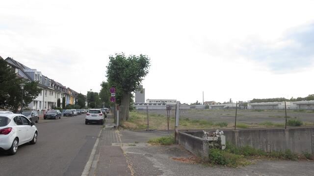 Durch den Brand entstand eine Freifläche am Hafen  | Foto: Julia Glöckner