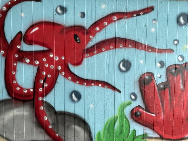 Oktay hat einen Oktopus gestaltet | Foto: Weiler