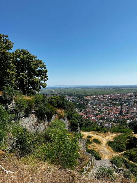 Kriemhildenstuhl | Foto: Ich