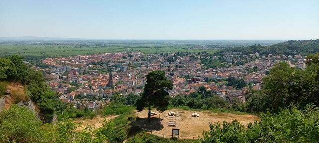 Blick auf Bad Dürkheim | Foto: Ich